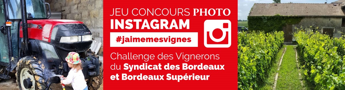 Image challenge