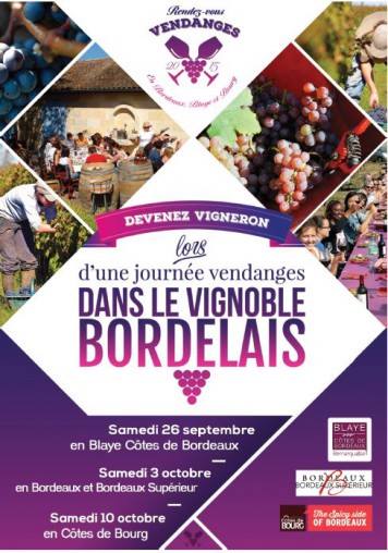 Dans le vignoble bordelais