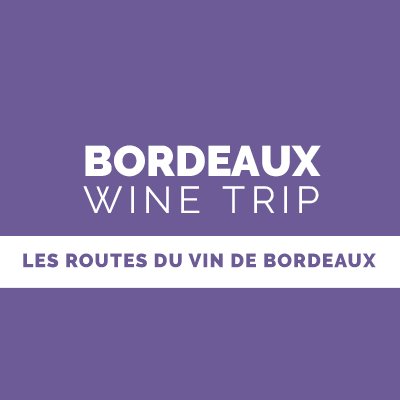 Bordeaux Wine Trip