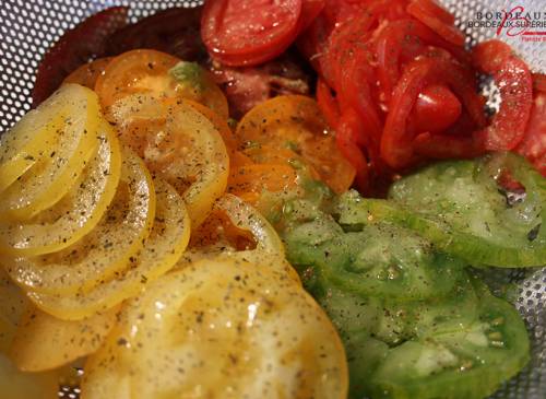 Terrine aux tomates d’antan, chèvre frais et basilic