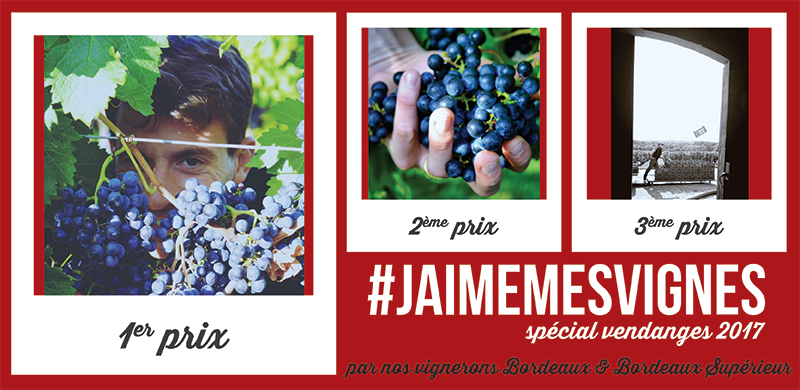 #jaimemesvignes spécial vendanges 2017