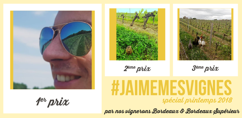 #jaimemesvignes spécial printemps 2018