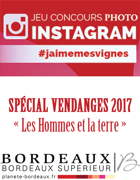 #jaimemesvignes spécial vendanges 2017