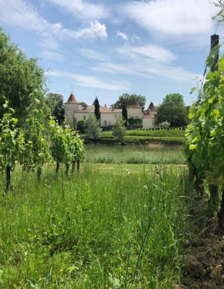 A la découverte de la cuvée le Fougueux