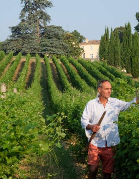 A la découverte de la cuvée le Fougueux