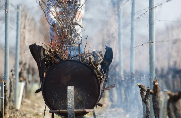 Sortir en novembre 2015 dans le vignoble